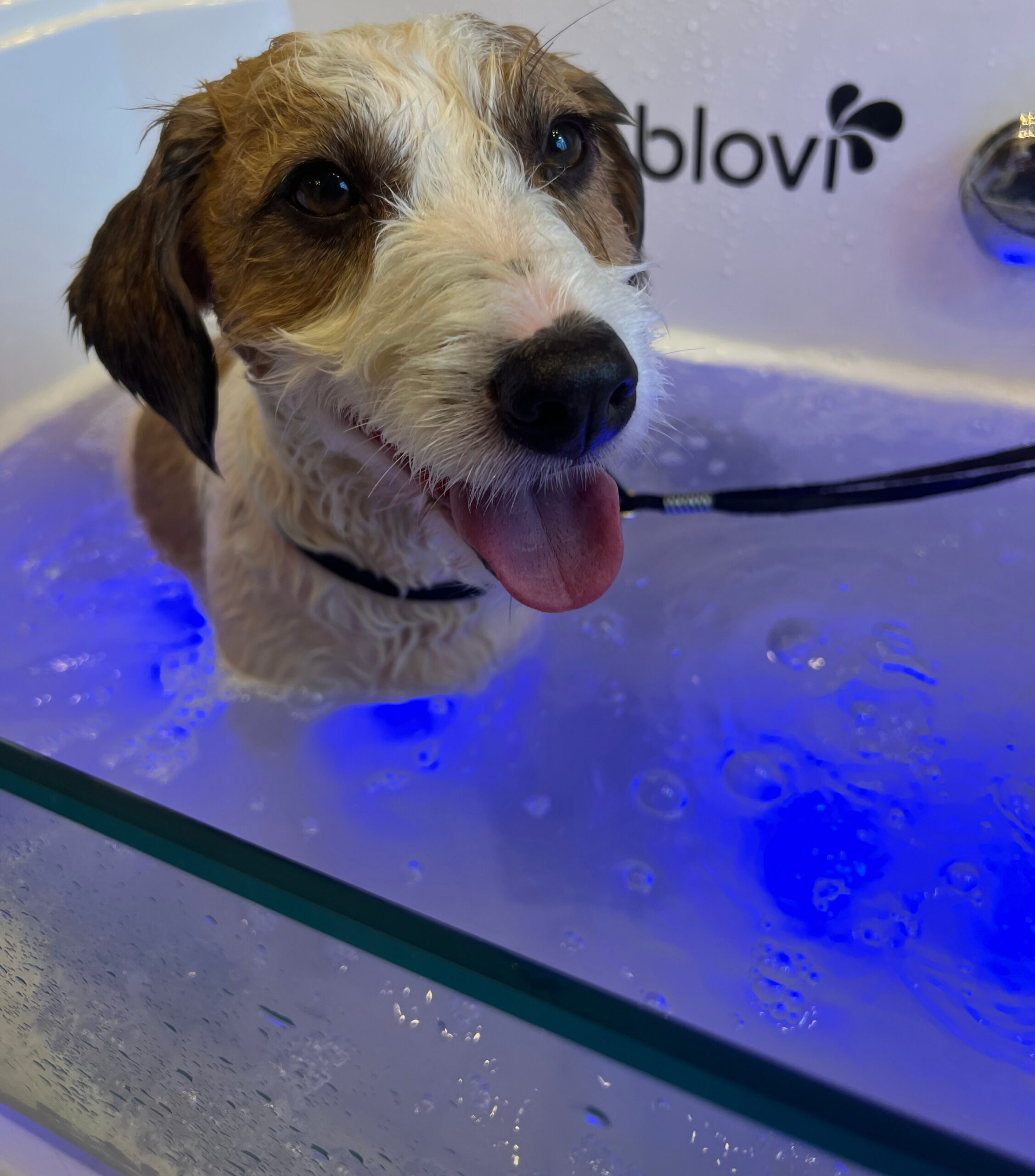 Реклаксуючі ванни